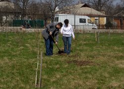 Загальноуніверситетські акції «Чисте довкілля» та «Посади дерево»